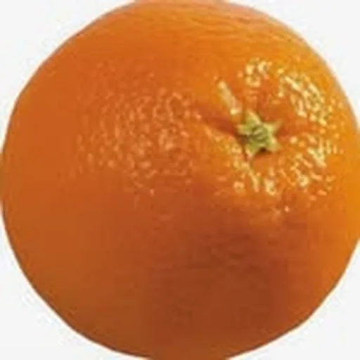 @ayyogeo profile image