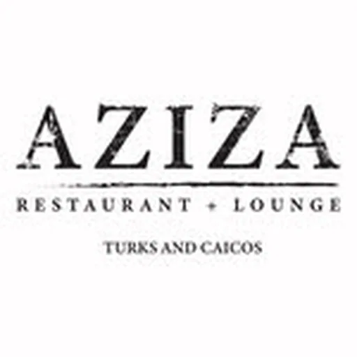 @azizaturks profile image
