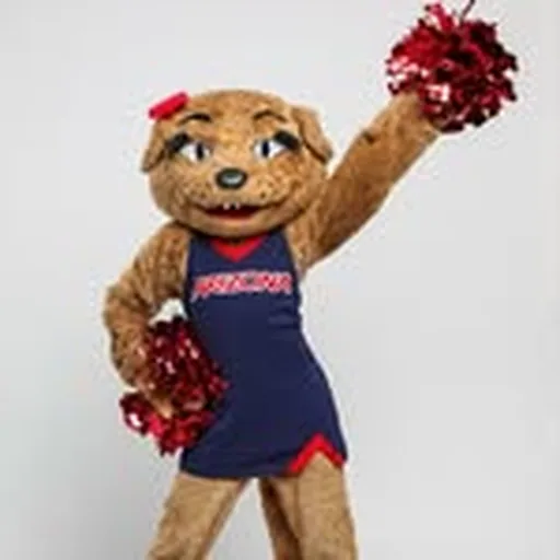 @azwilmawildcat profile image