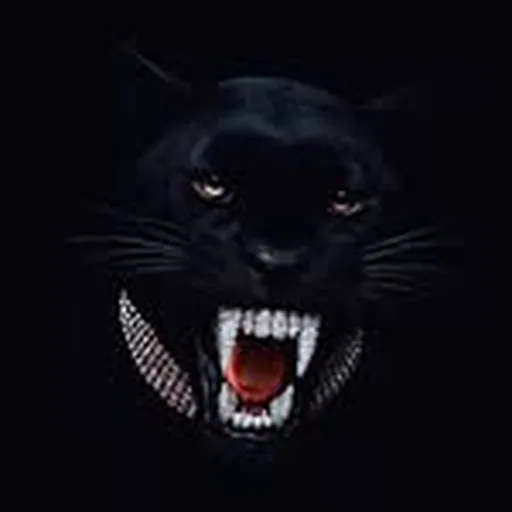 @b.o_bilal profile image