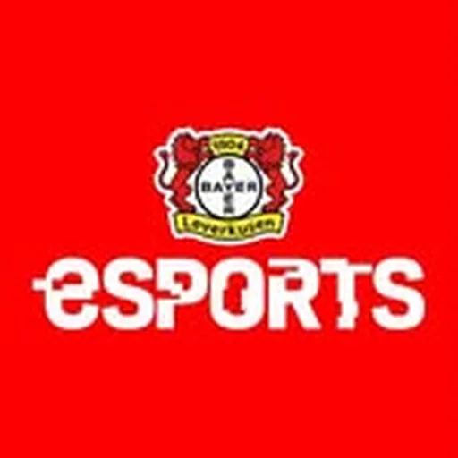 @b04esports profile image