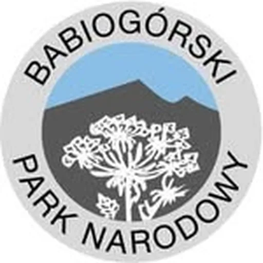 @babiogorskipn profile image