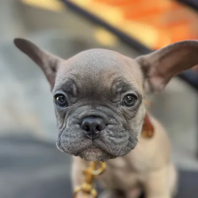 @babyboybroadus profile image
