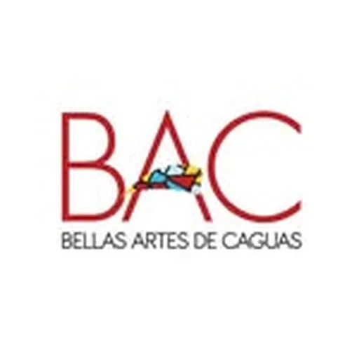 @baccaguas profile image