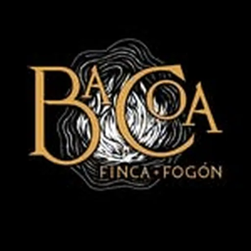 @bacoapr profile image