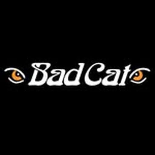 @badcatamps profile image