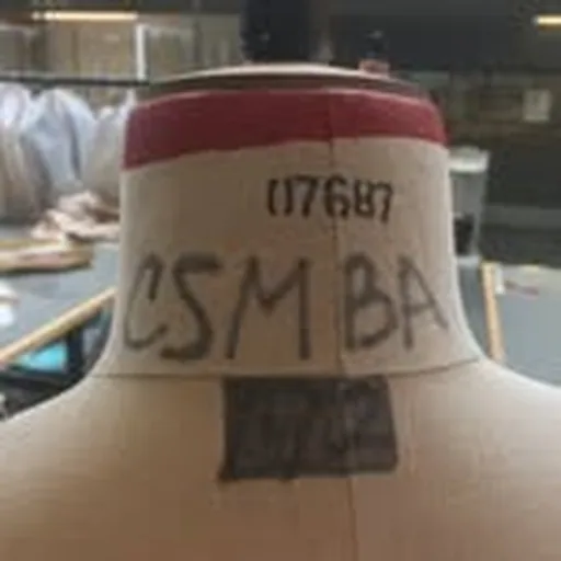 @bafcsm profile image