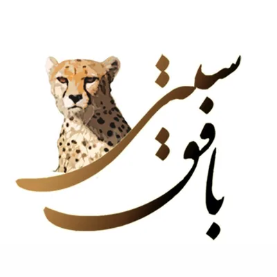 @bafqcity profile image