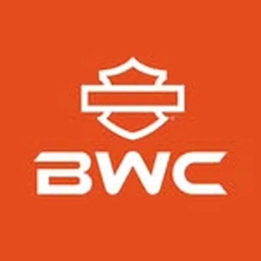 @baggerworldcup profile image
