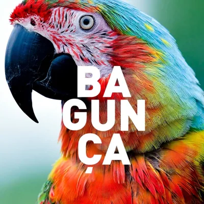 @bagunca_br profile image