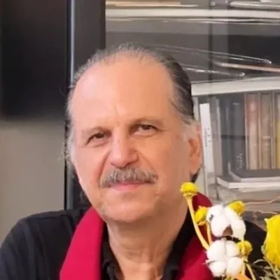 @bahmannikoo profile image