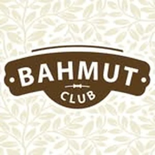 @bahmut.club profile image