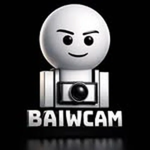 @baiwcam profile image