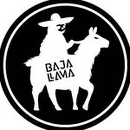 @bajallama profile image
