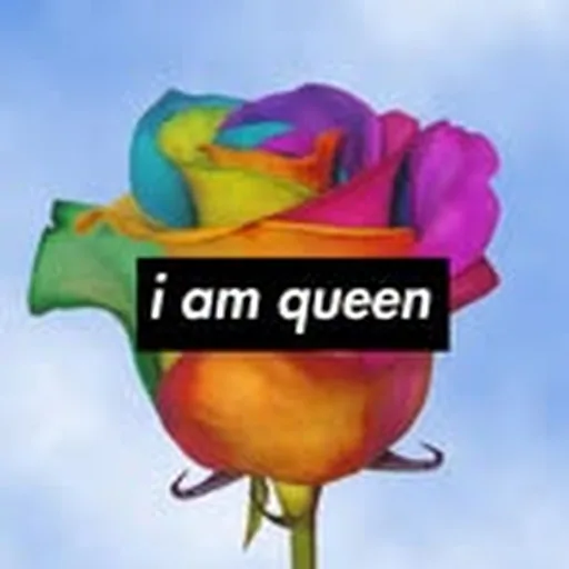 @baji.bombastic profile image
