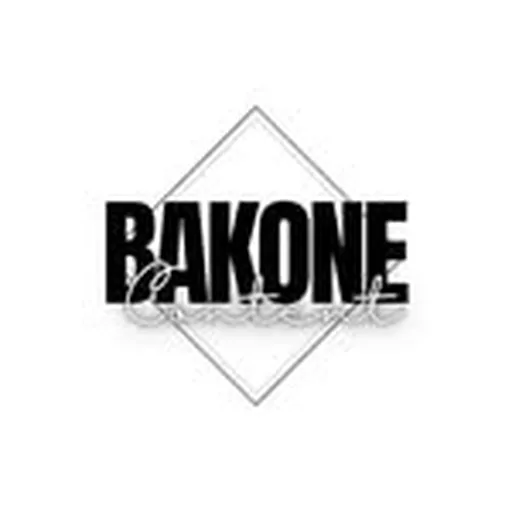 @bakone_rsa profile image