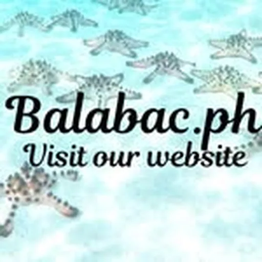 @balabacpalawan profile image