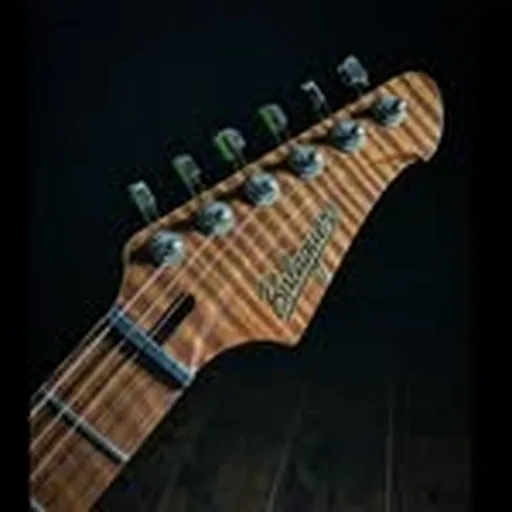 @balaguerguitars profile image