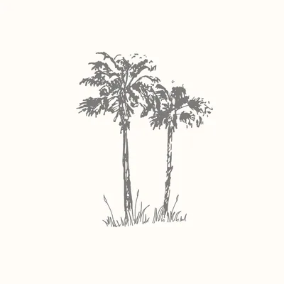 @balanced_works profile image