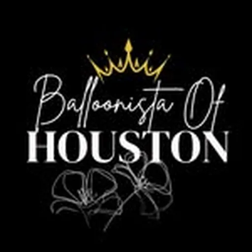 @balloonistaofhouston profile image