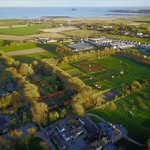 @ballymaloecookeryschoolgardens profile image
