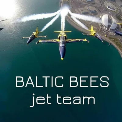 @balticbees profile image
