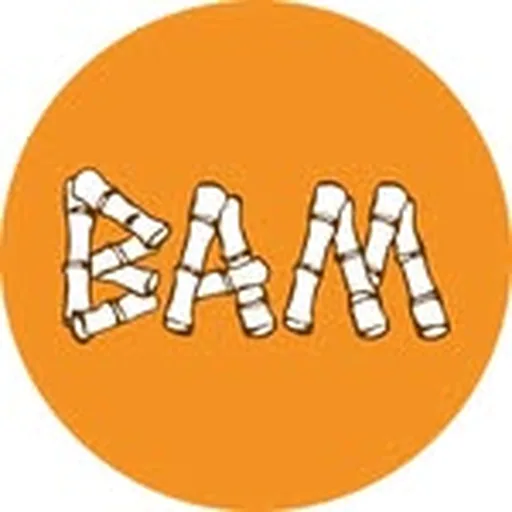@bam.sgn profile image