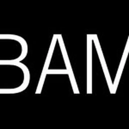 @bam_brooklyn profile image