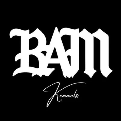 @bam_kennelss profile image
