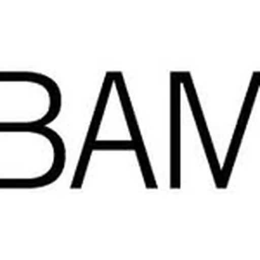 @bamfilmbrooklyn profile image