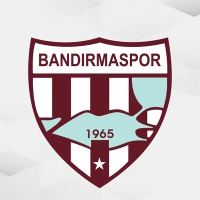 @bandirma_sk profile image