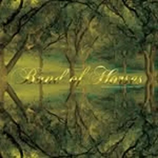 @bandofhorses profile image