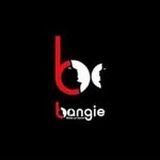 @bangie_e profile image