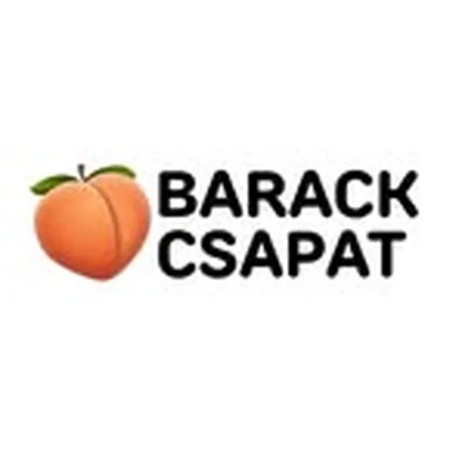 @barackcsapat profile image