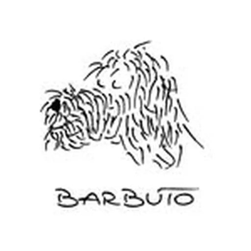 @barbutonyc profile image