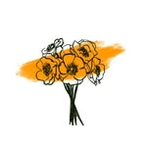 @barcecil profile image