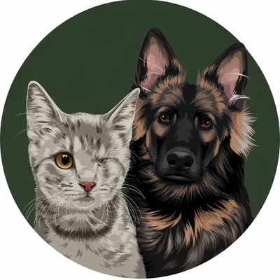 @bark.with.it profile image