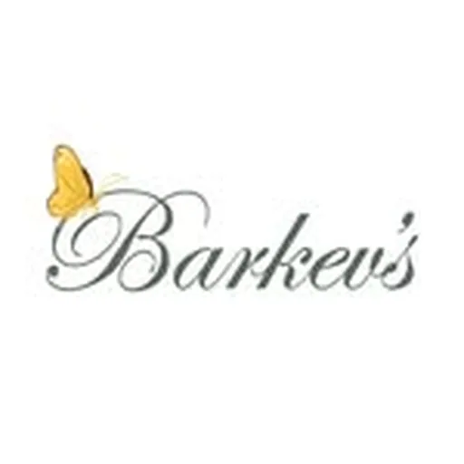 @barkevs profile image