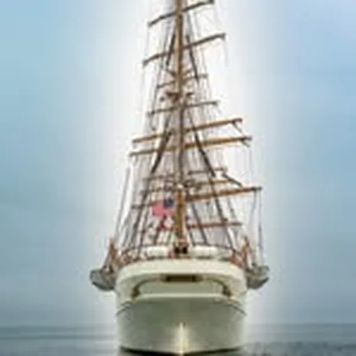 @barqueeagle profile image