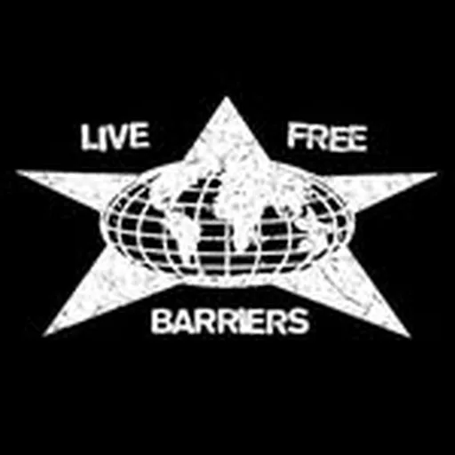 @barriersworldwide profile image