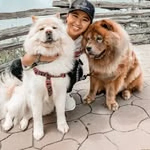 @barrymoca.chows profile image