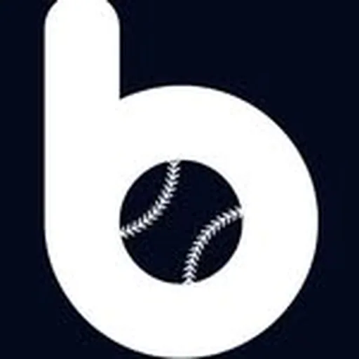 @baseballbluebook profile image