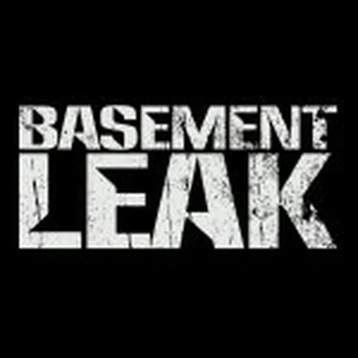 @basementleak profile image