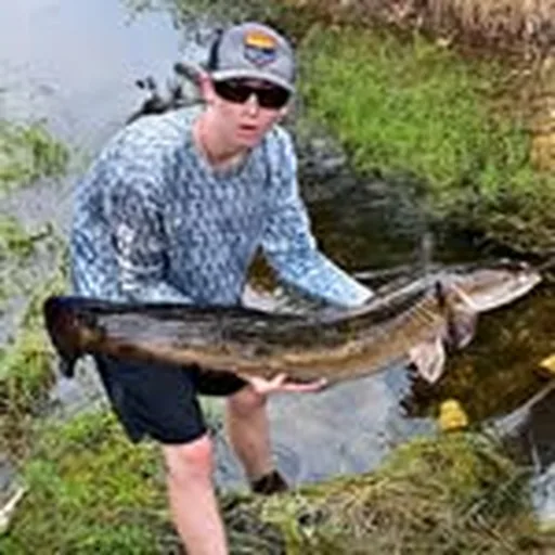 @bassfishingproductions profile image