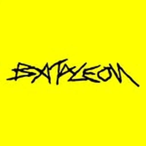 @bataleonsnowboards profile image