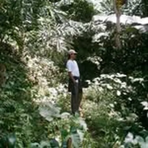 @batikboy_ profile image
