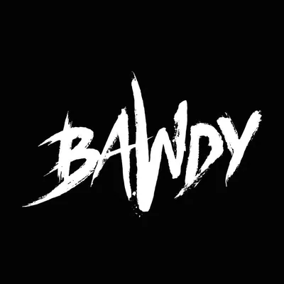 @bawdymusic profile image