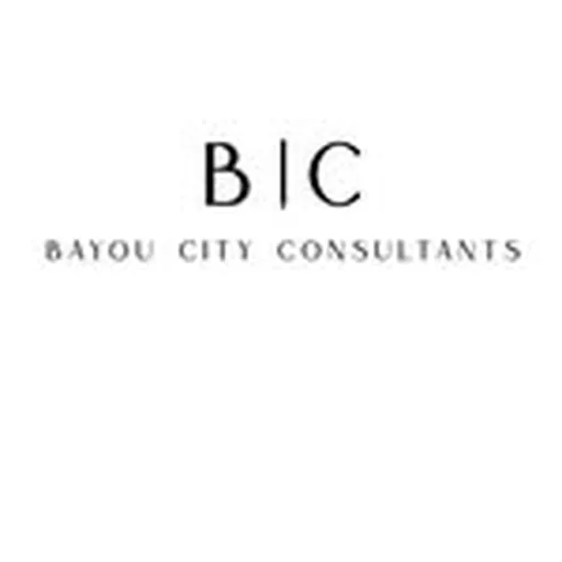 @bayoucityconsultants profile image