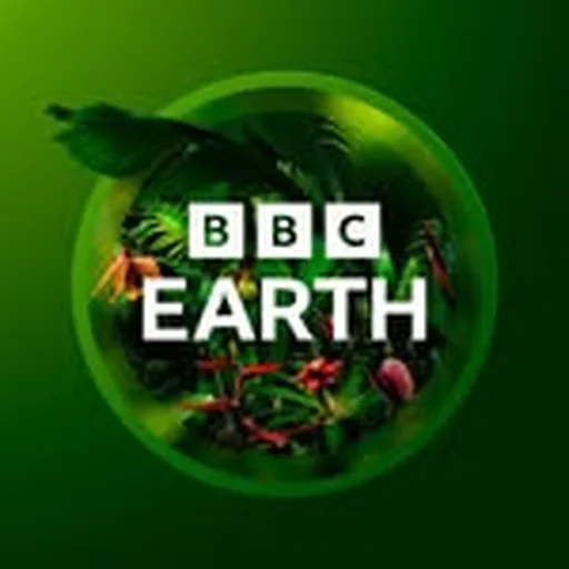 @bbcearth profile image