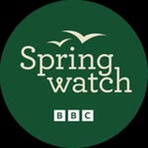@bbcspringwatch profile image